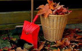 Should You do Deep Cleaning in Autumn