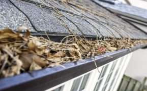 Gutter Cleaning