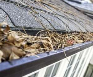 Gutter Cleaning